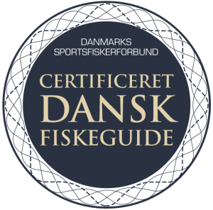 2015-02-02 14.15.32-3